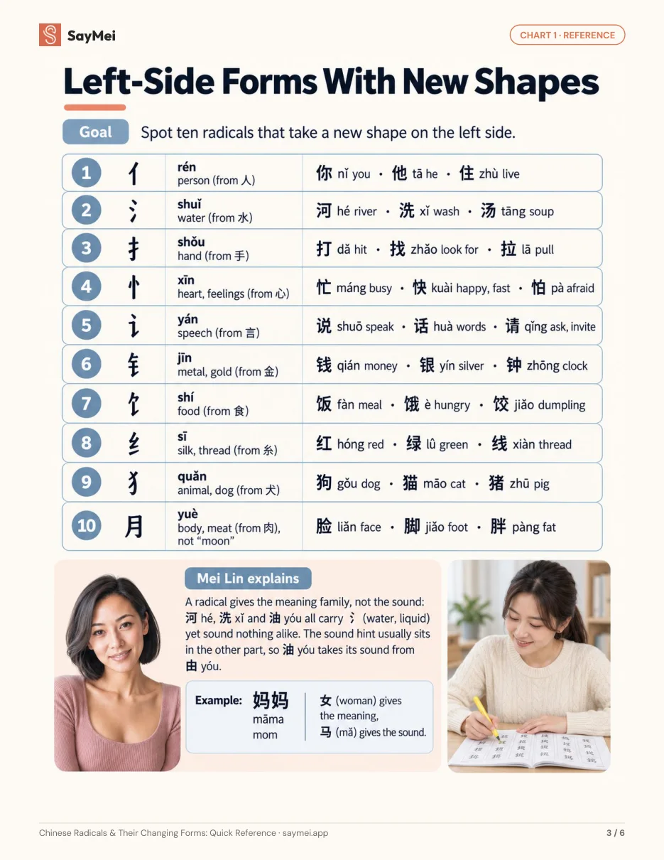 Page 2 of Chinese Radicals & Their Changing Forms: Quick Reference