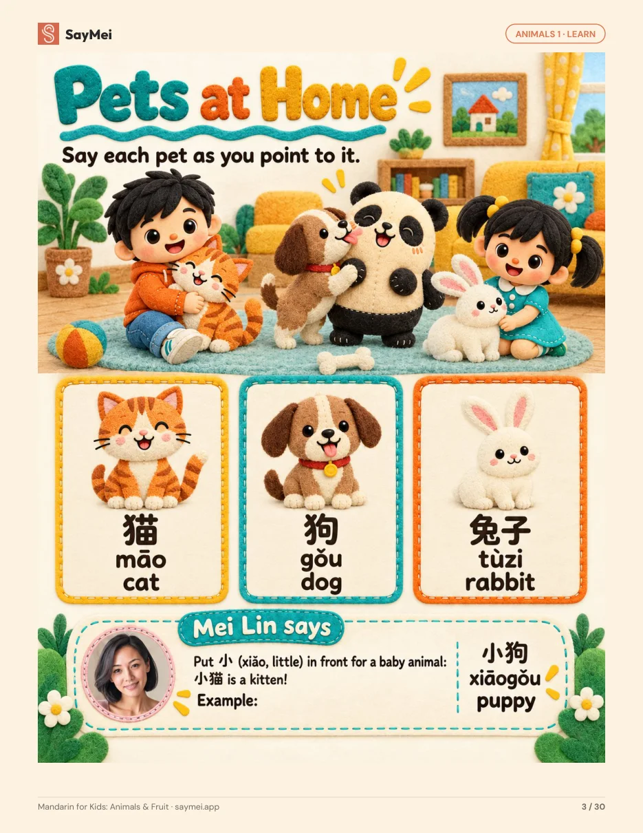 Page 2 of Mandarin for Kids: Animals & Fruit